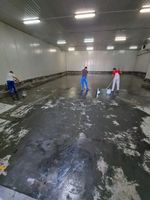 хидроизолационно полимерно покритие - 89642 снимки | Systemfloor хидроизолационно полимерно покритие - 44637 снимки