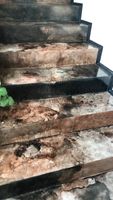 хидроизолационно полимерно покритие - 25040 селекции хидроизолационно полимерно покритие - 70987 селекции