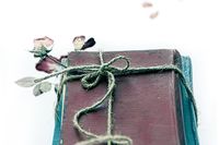 нови книги - 18662 бестселъри нови книги - 2231 бестселъри