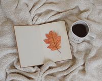 разделител за книга щипка - 93549 постижения