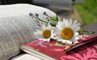 разделител за книга щипка - 27694 новини