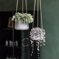 керамични саксии - 9842 снимки