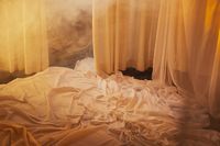 Будоарна фотография - 49841 предложения