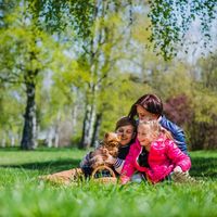 Семейна Фотосесия - 15864 комбинации